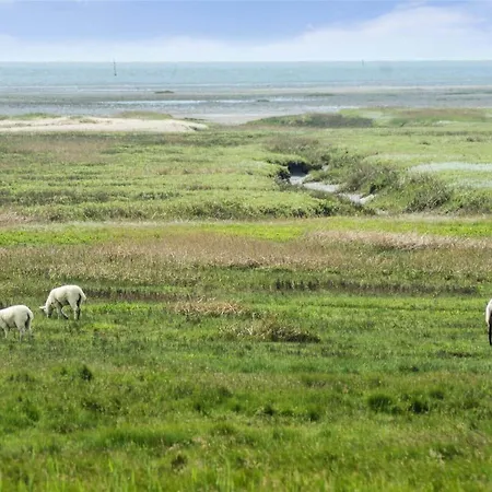 0381-romo-sonder-frankel-44