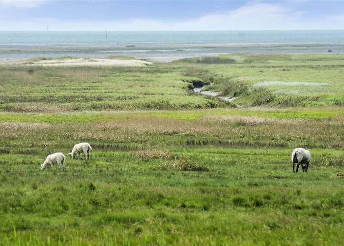 0381-romo-sonder-frankel-44 بيت للعطل Havneby